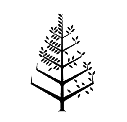 奥兰多华特迪士尼世界度假区四季酒店 Logo